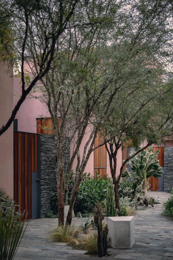 Quinta Amores Alojamiento El Penon Exterior photo