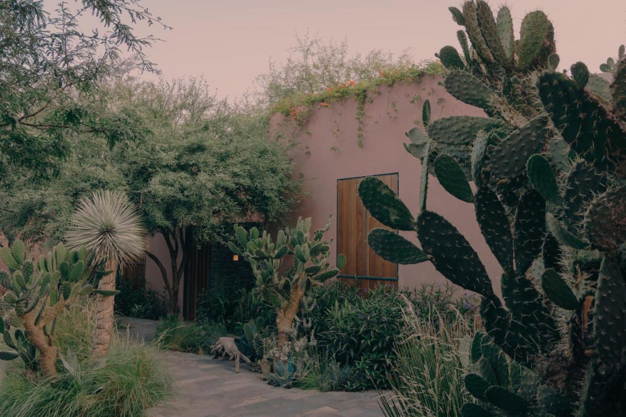 Quinta Amores Alojamiento El Penon Exterior photo