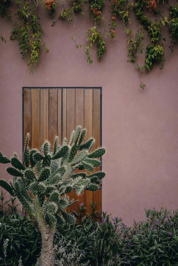 Quinta Amores Alojamiento El Penon Exterior photo